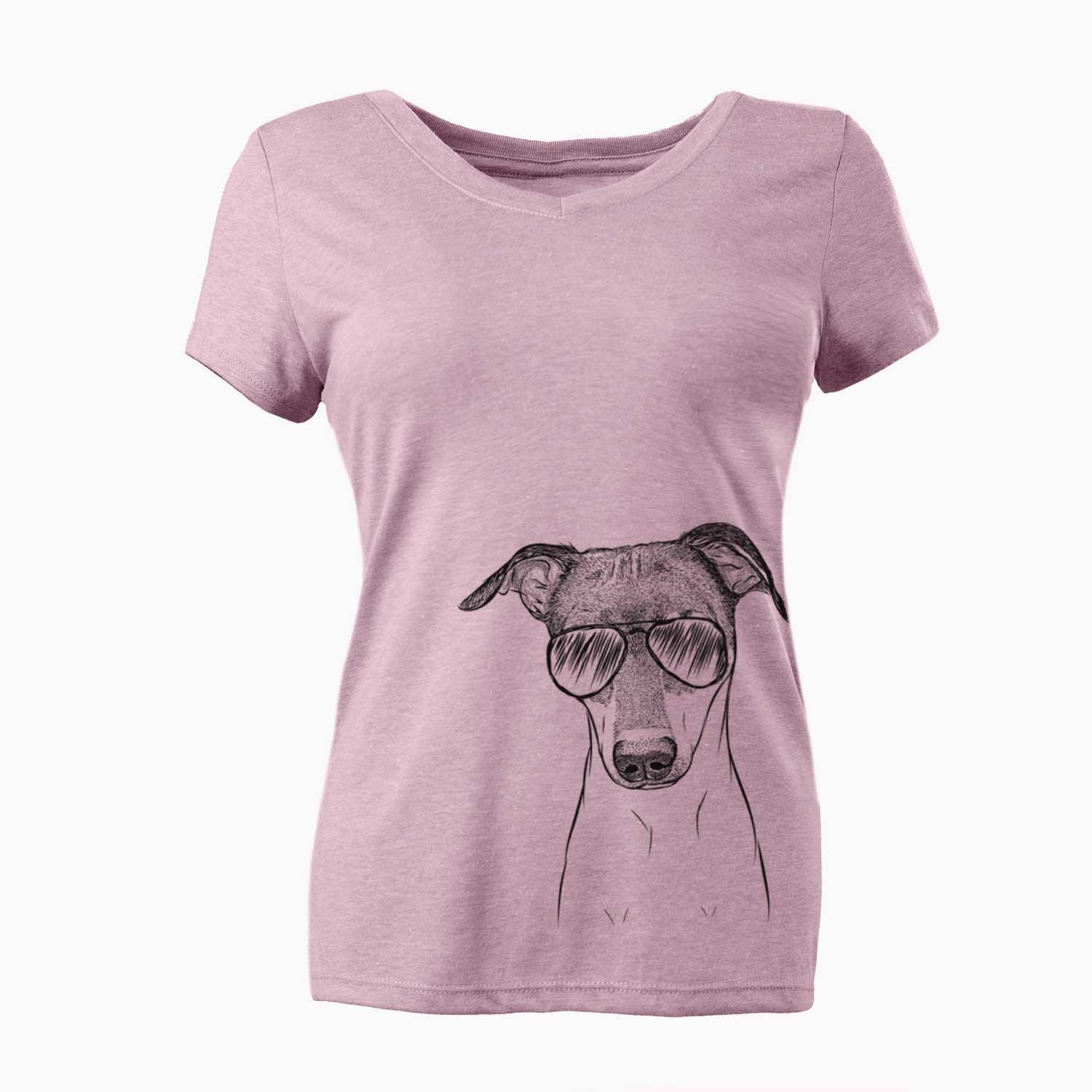 Aviator Momo the Japanese Terrier - Women's V-neck Shirt