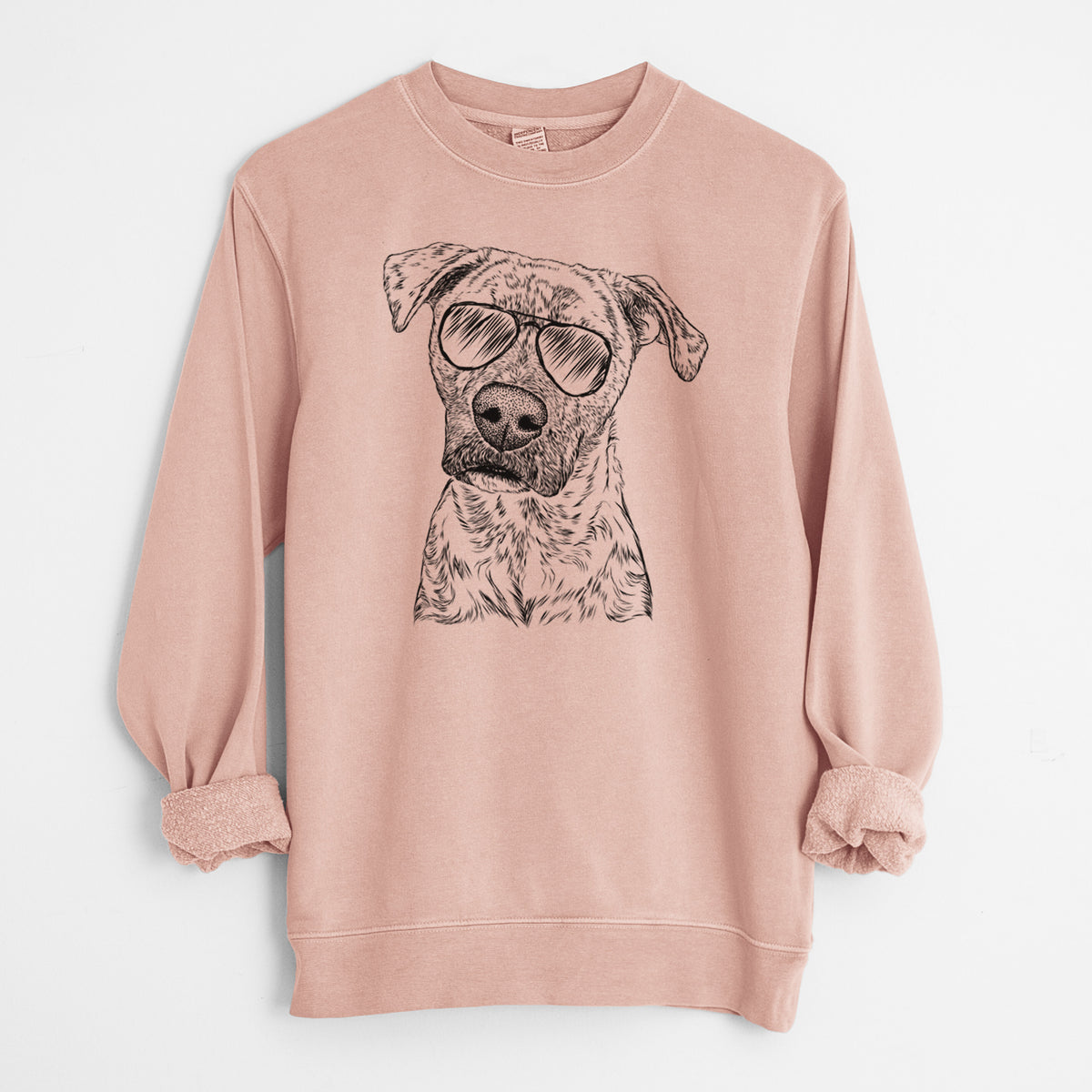 Aviator Monster Baby the Pitbull Mix - Unisex Pigment Dyed Crew Sweatshirt