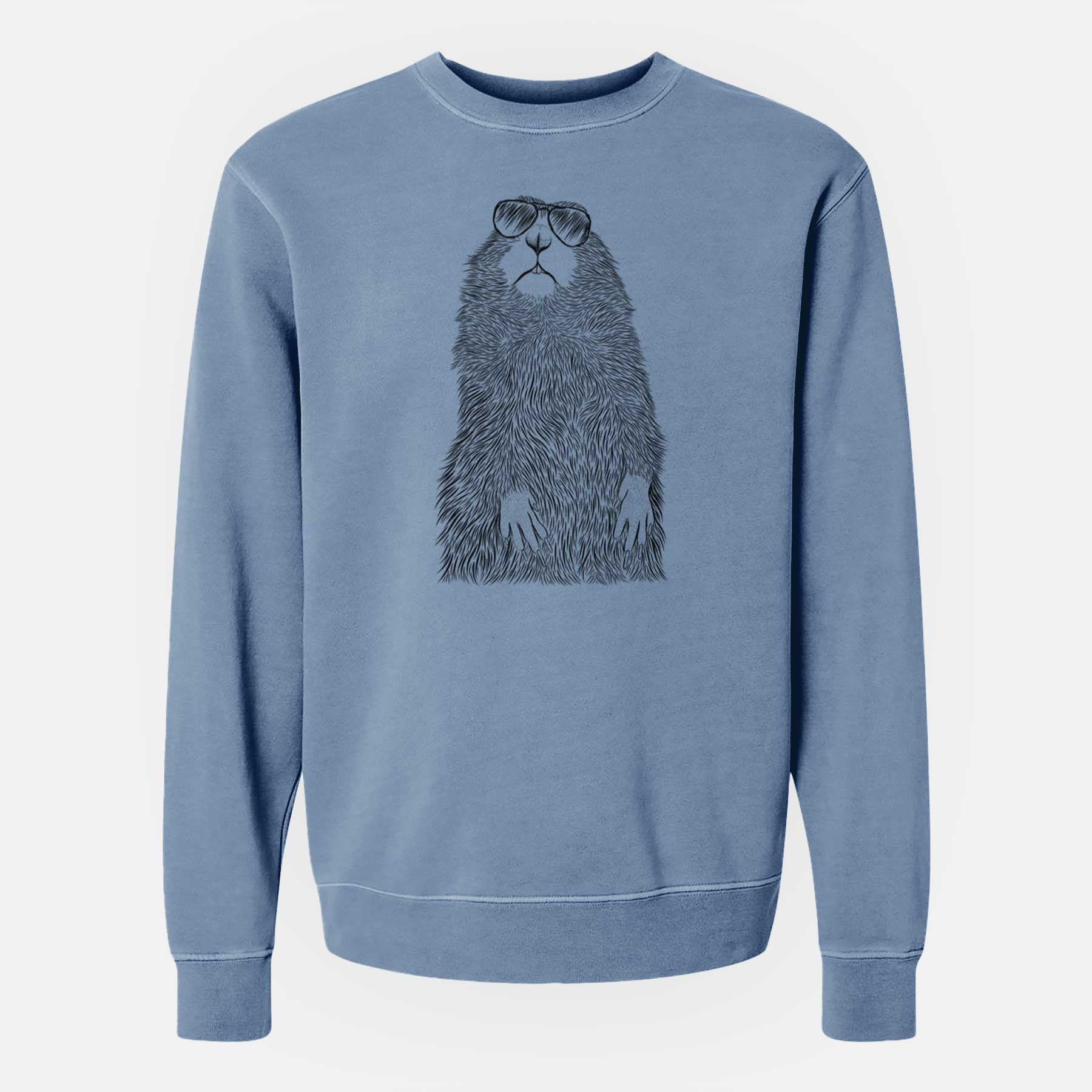 Aviator Mr. Otis the Prairie Dog - Unisex Pigment Dyed Crew Sweatshirt