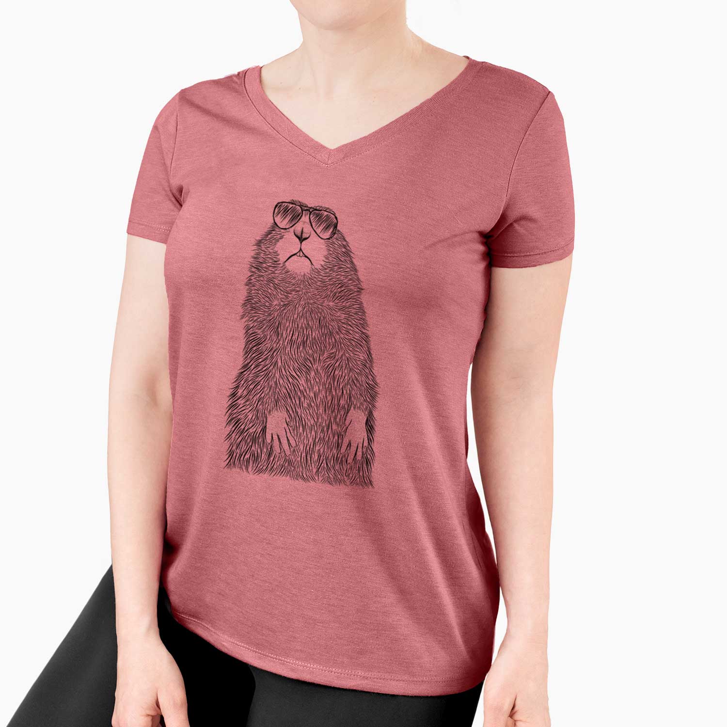 Aviator Mr. Otis the Prairie Dog - Women's V-neck Shirt