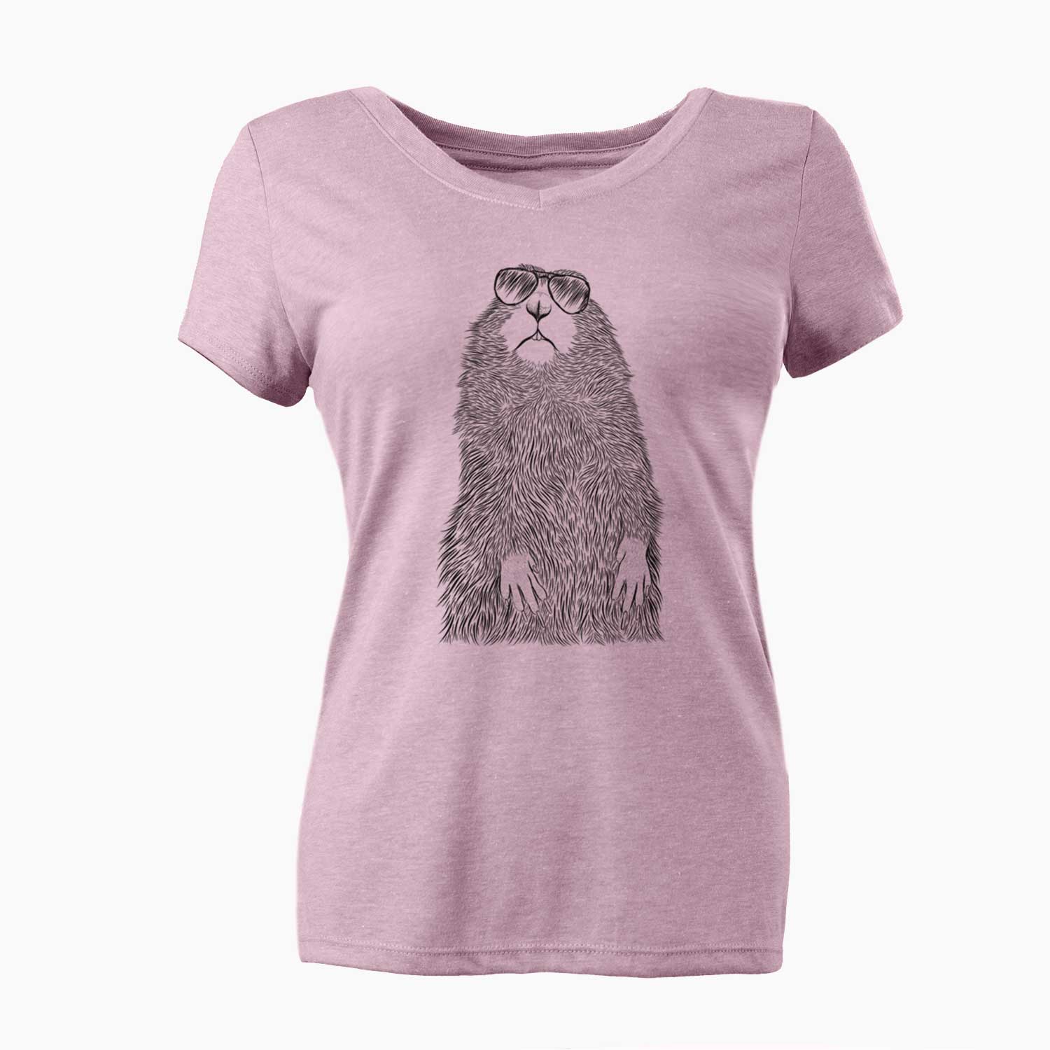 Aviator Mr. Otis the Prairie Dog - Women's V-neck Shirt