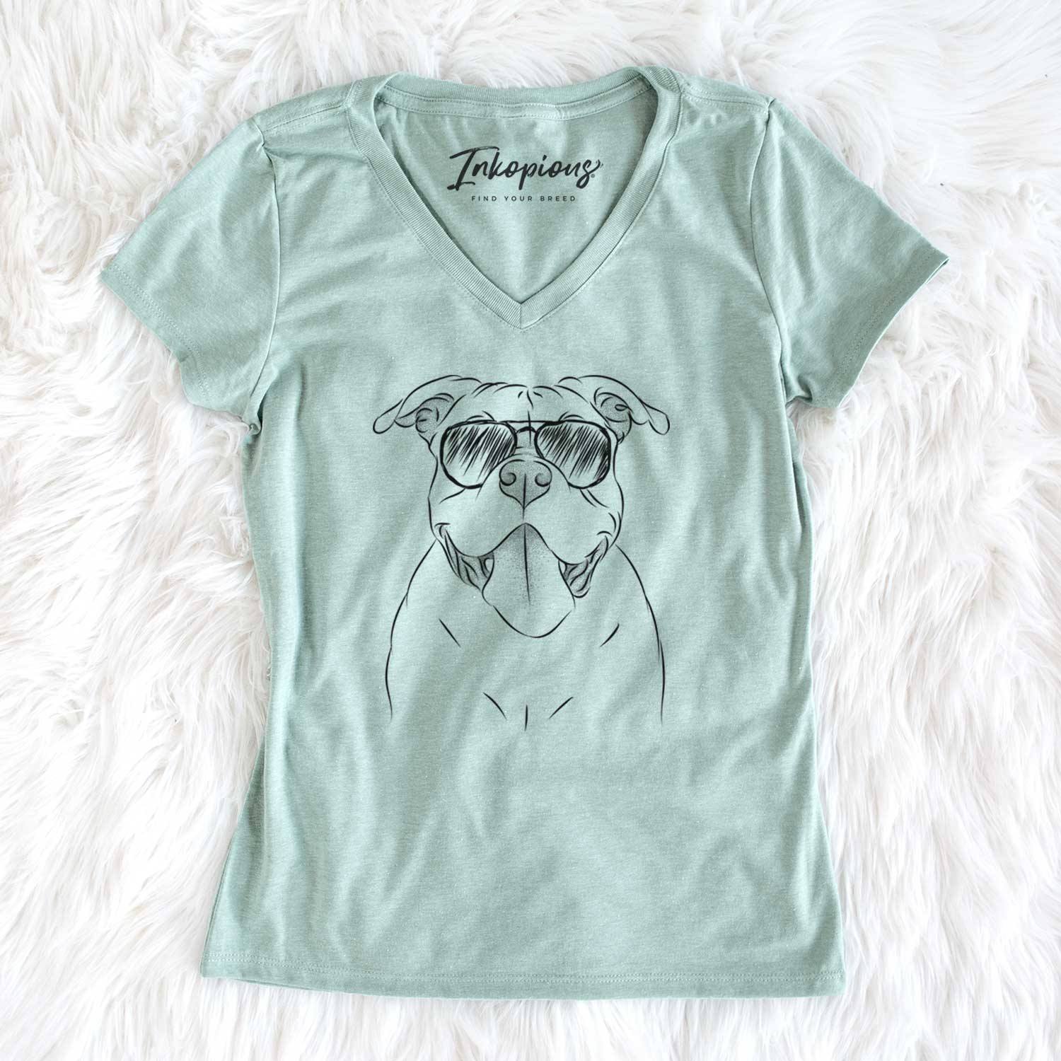 Aviator Nacho the American Bully - Women's V-neck Shirt