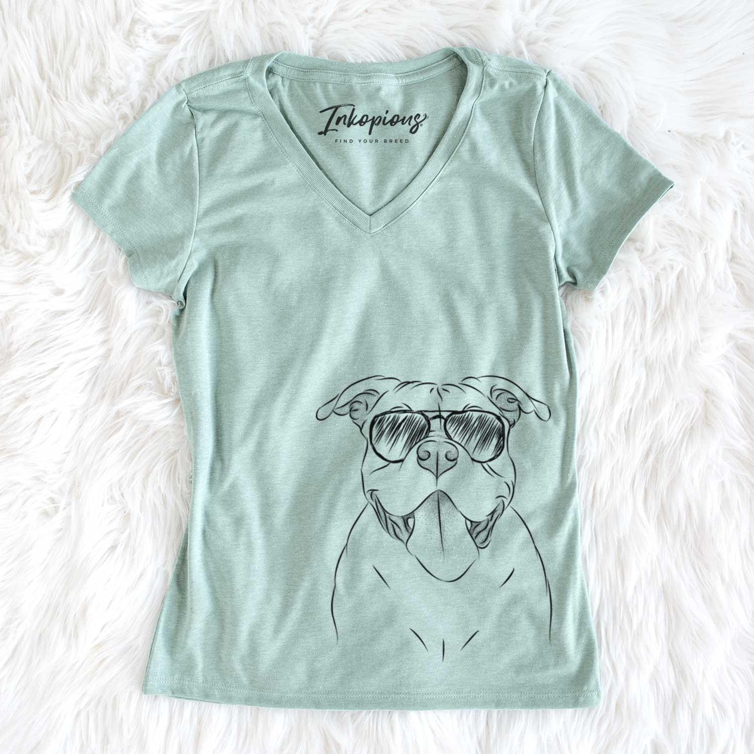 Aviator Nacho the American Bully - Women's V-neck Shirt