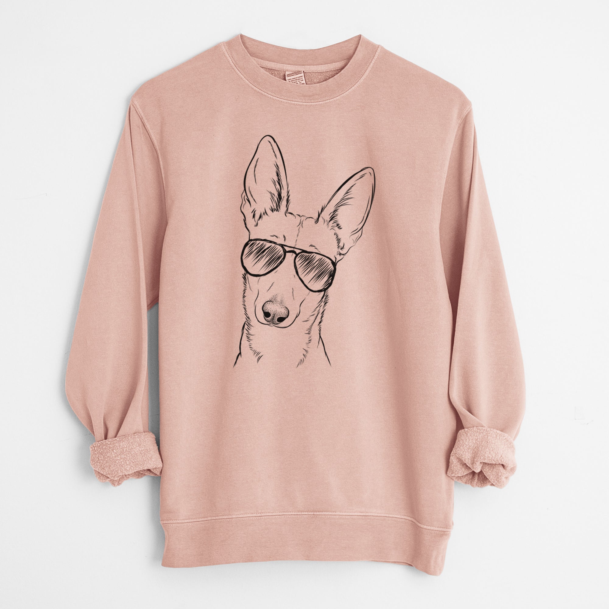 Aviator Nala the Carolina Dog - Unisex Pigment Dyed Crew Sweatshirt