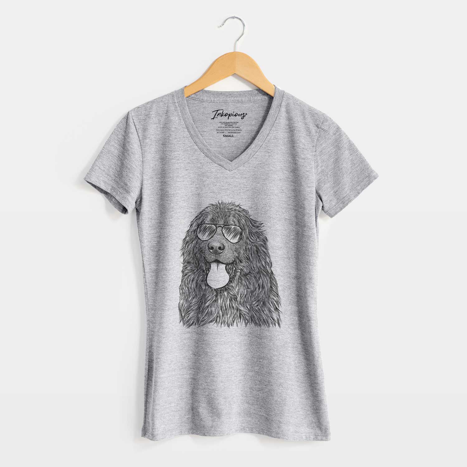 Aviator Neptune the Newfoundland - Women's V-neck Shirt