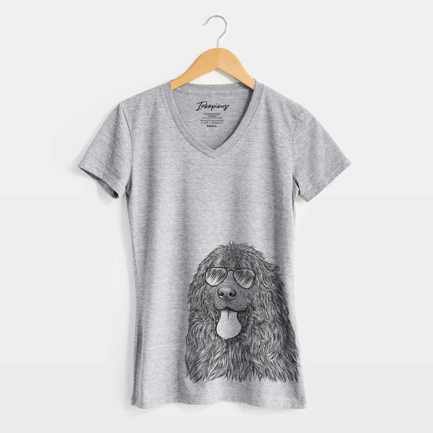 Aviator Neptune the Newfoundland - Women's V-neck Shirt