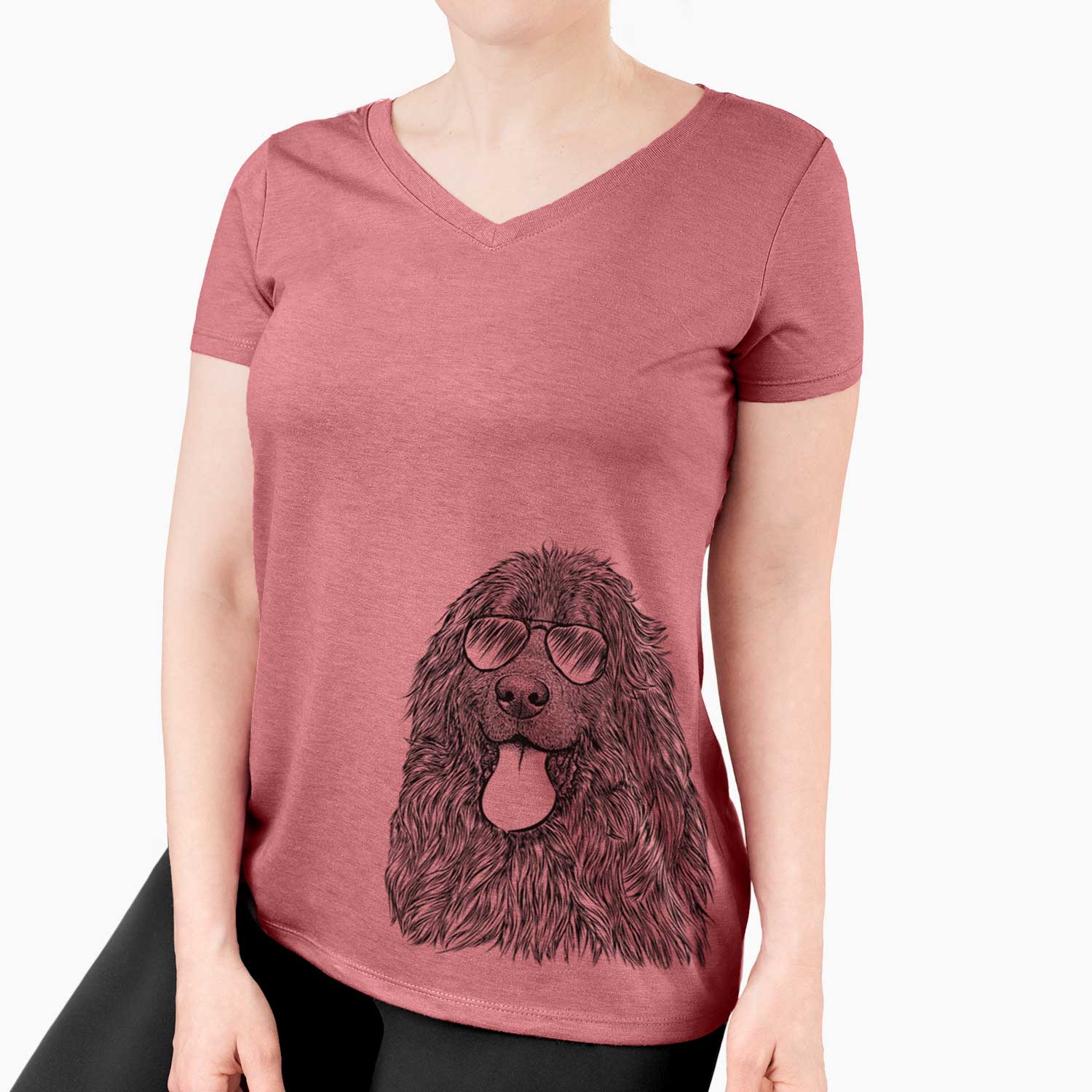 Aviator Neptune the Newfoundland - Women's V-neck Shirt