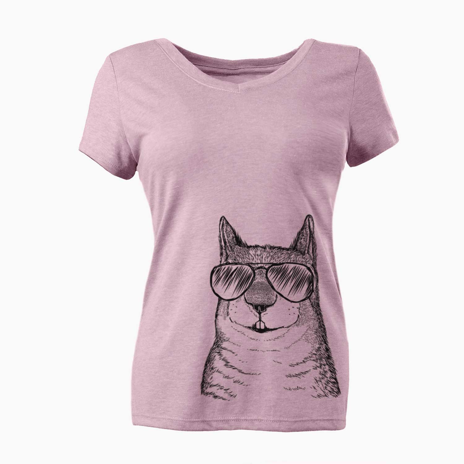 Aviator Nibbles the Squirrel - Women's V-neck Shirt