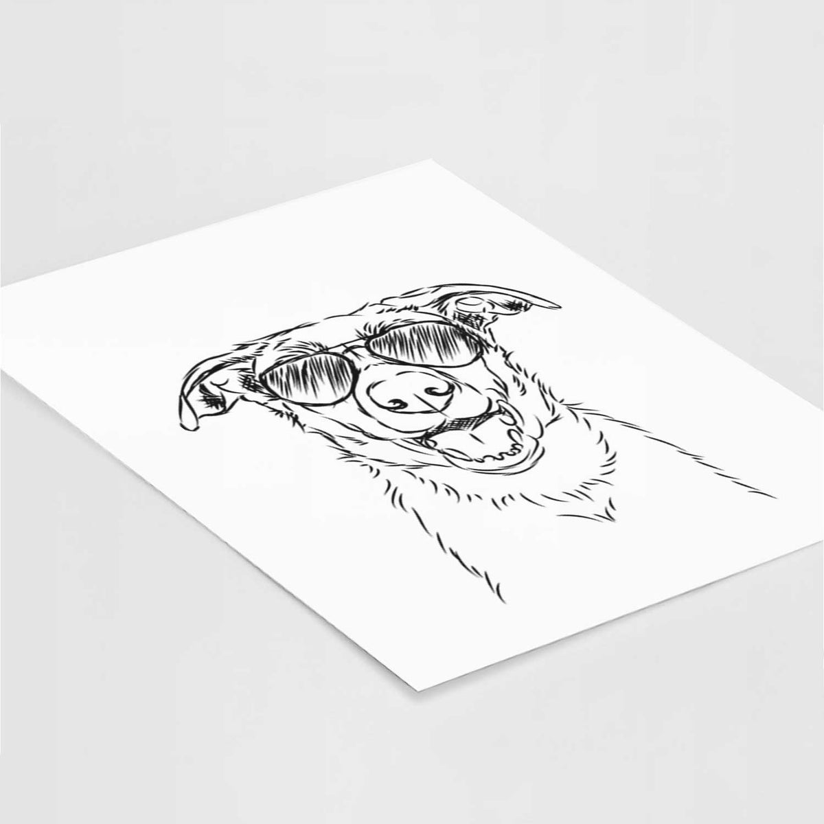 Noah the Smooth Coat Border Collie Art Print