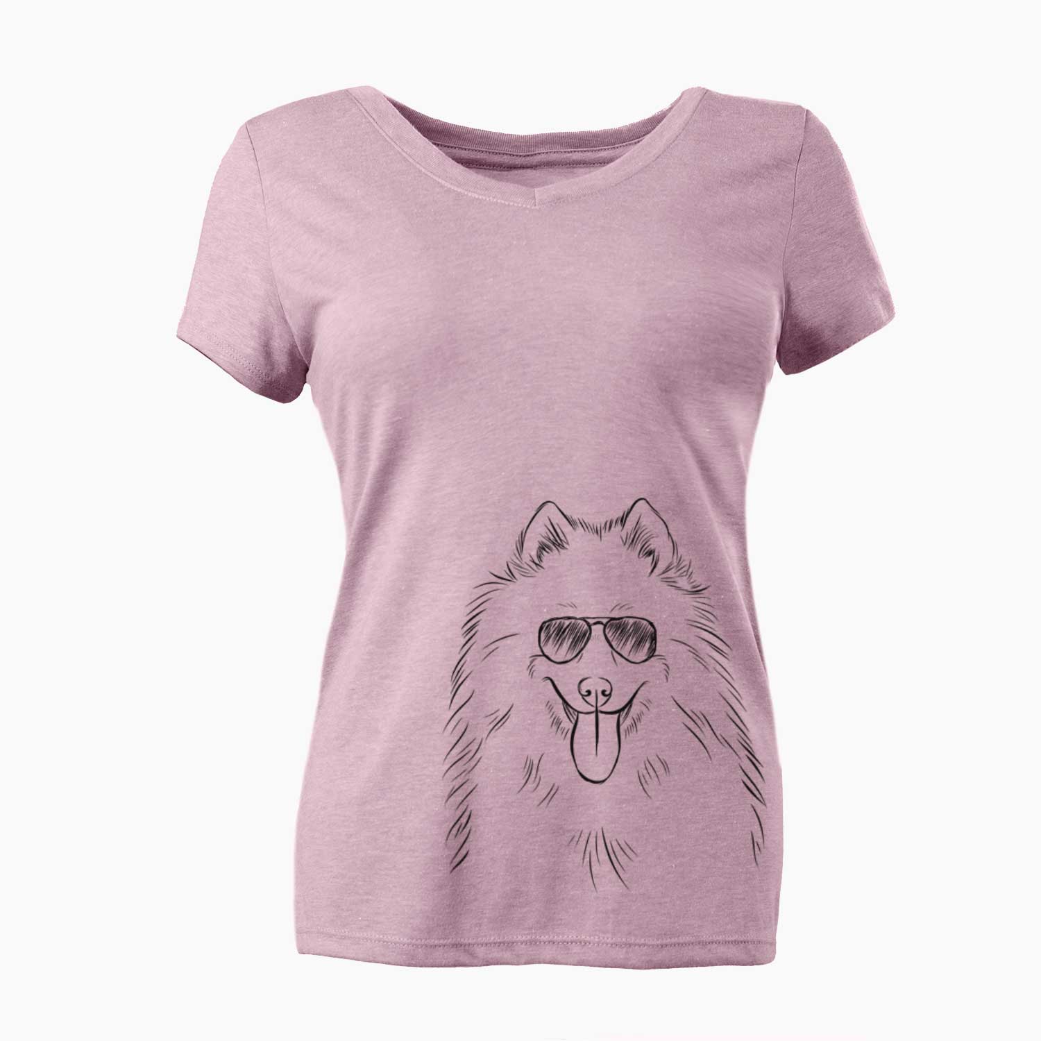 Aviator Nova the Samoyed - Women's V-neck Shirt