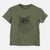 Aviator Olive the Cat - Kids/Youth/Toddler Shirt