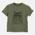 Aviator Oliver Fluff the Maine Coon Mix Cat - Kids/Youth/Toddler Shirt