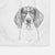 Orin the Treeing Walker Coonhound Decorative Hand Towel