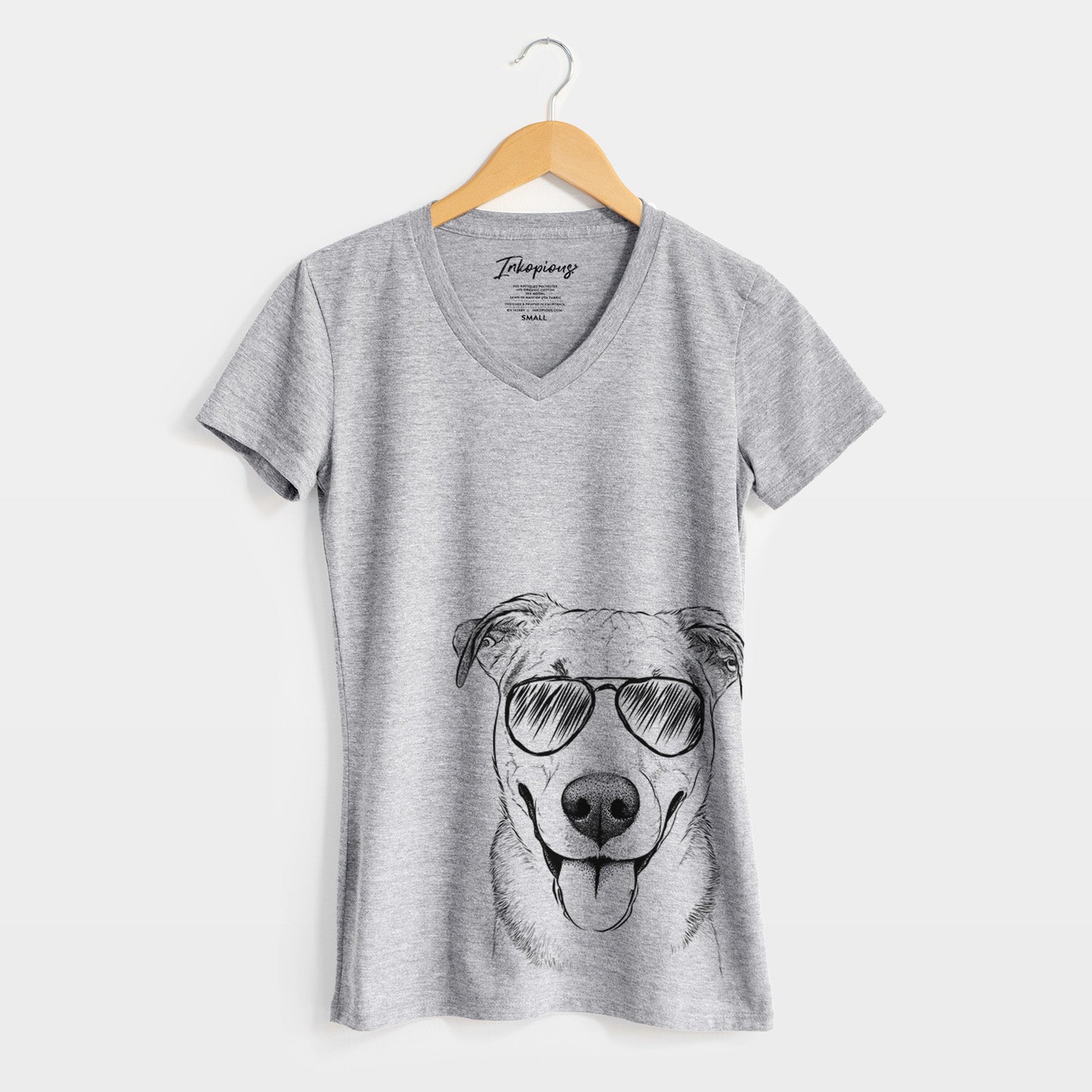 Aviator Padre the Pitbull Mix - Women's V-neck Shirt