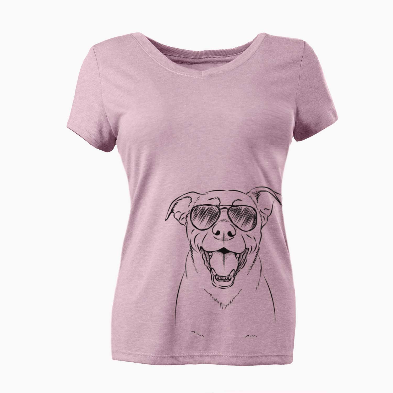 Aviator Pele the Lab Mix - Women's V-neck Shirt