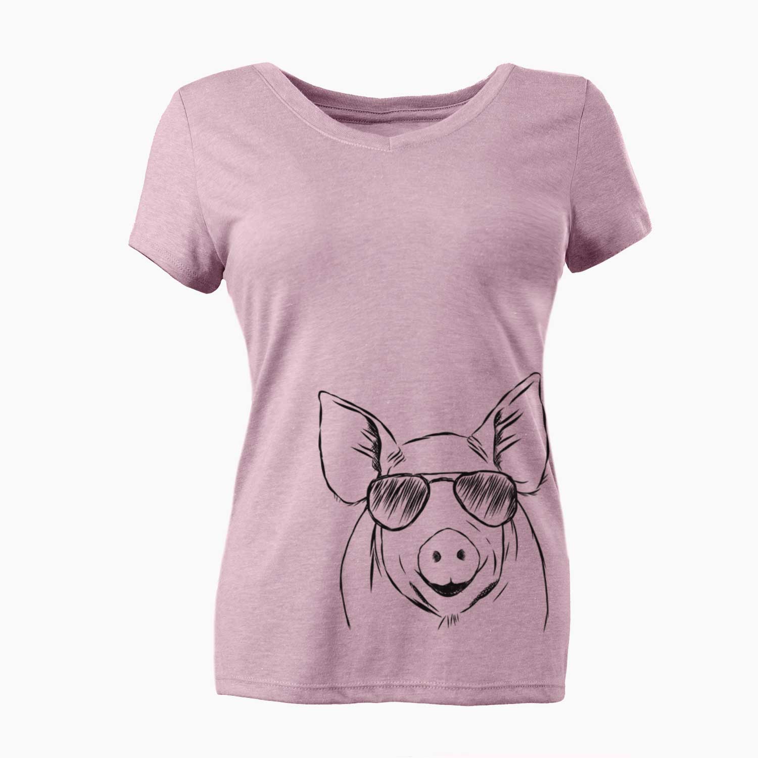 Aviator Perry the Pig - Women's V-neck Shirt