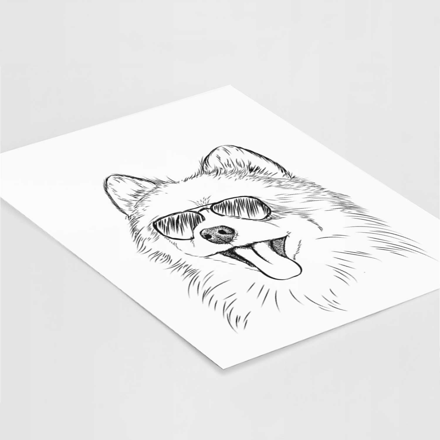 Quinn the Pomeranian Art Print