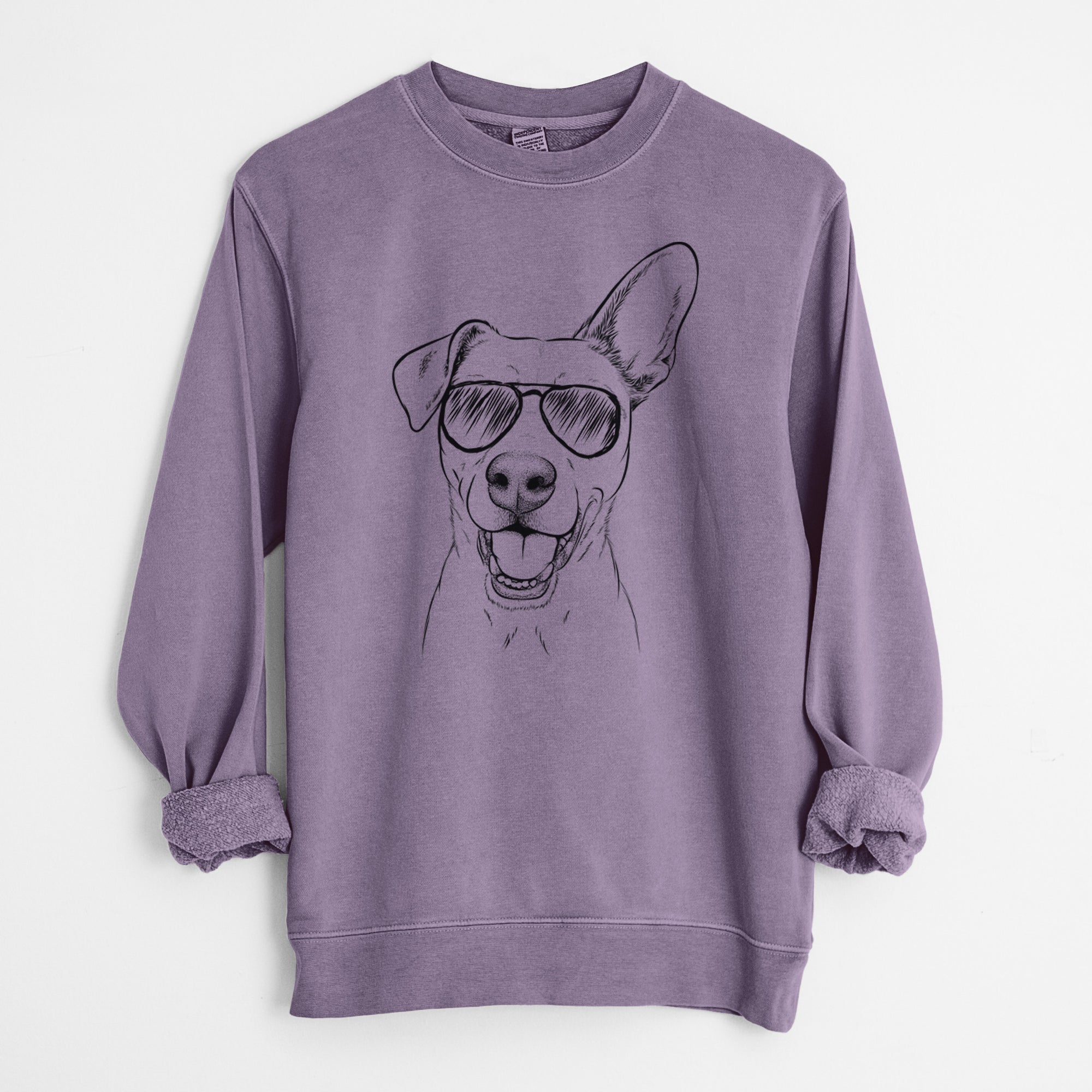 Aviator Radar the Pitbull Mix - Unisex Pigment Dyed Crew Sweatshirt