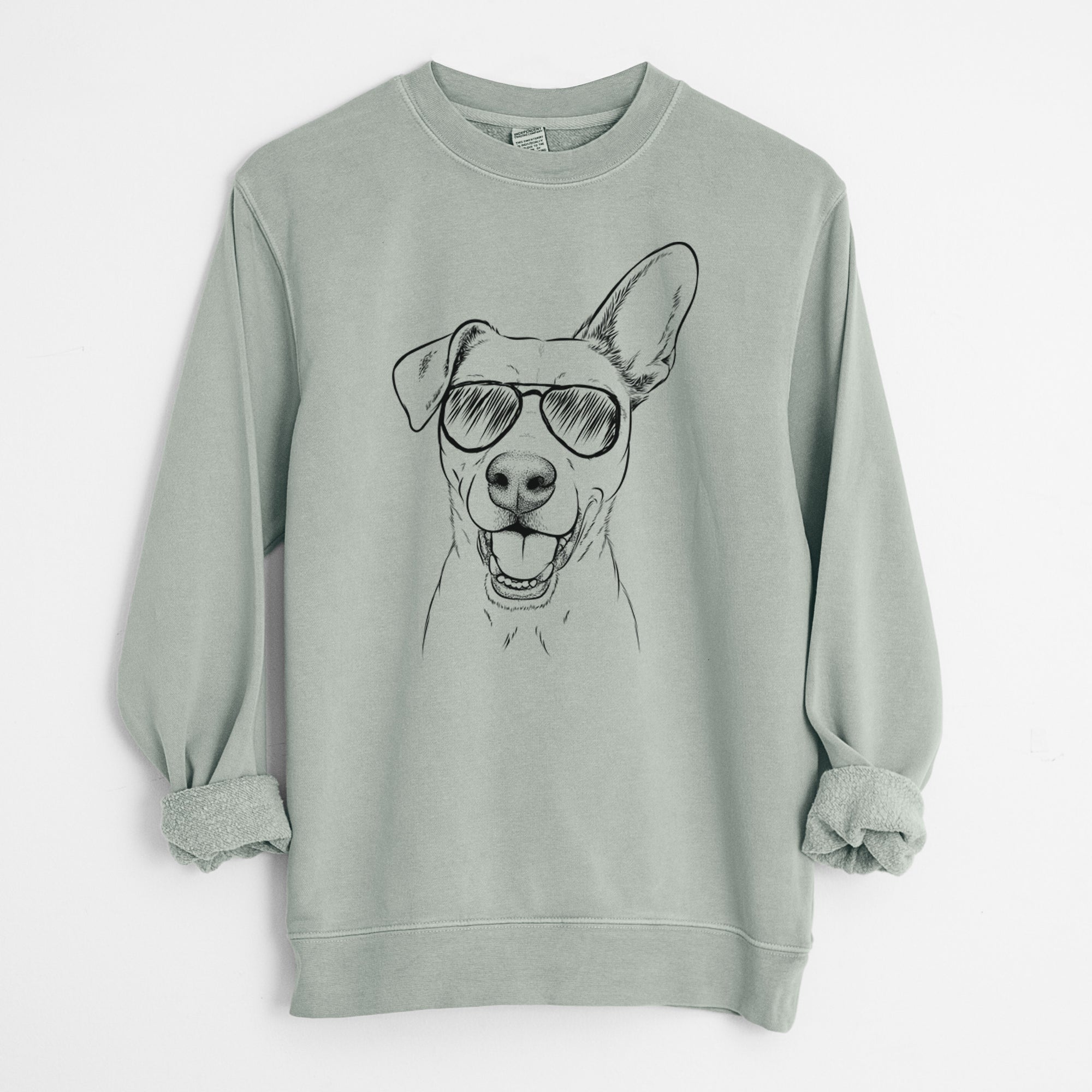 Aviator Radar the Pitbull Mix - Unisex Pigment Dyed Crew Sweatshirt