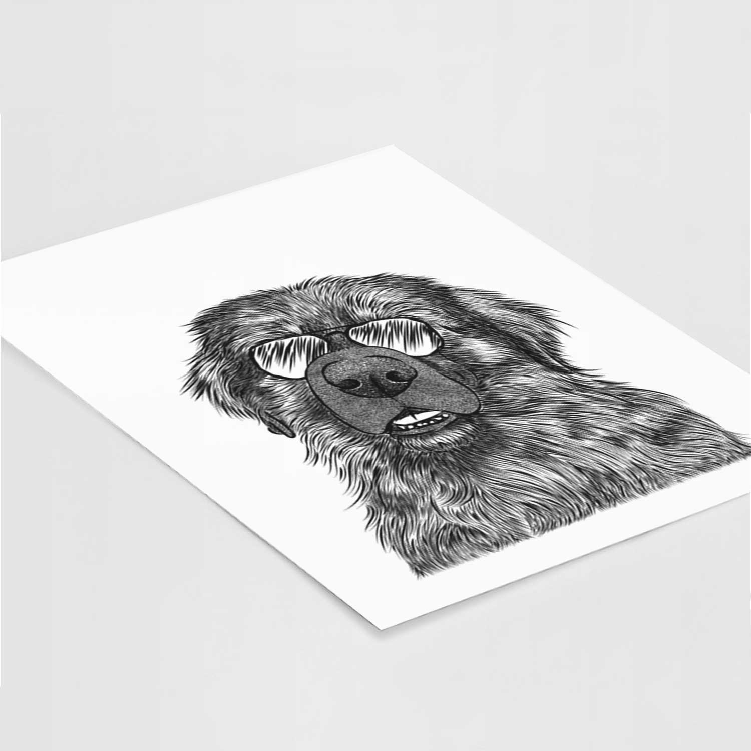 Ralph the Leonberger Art Print