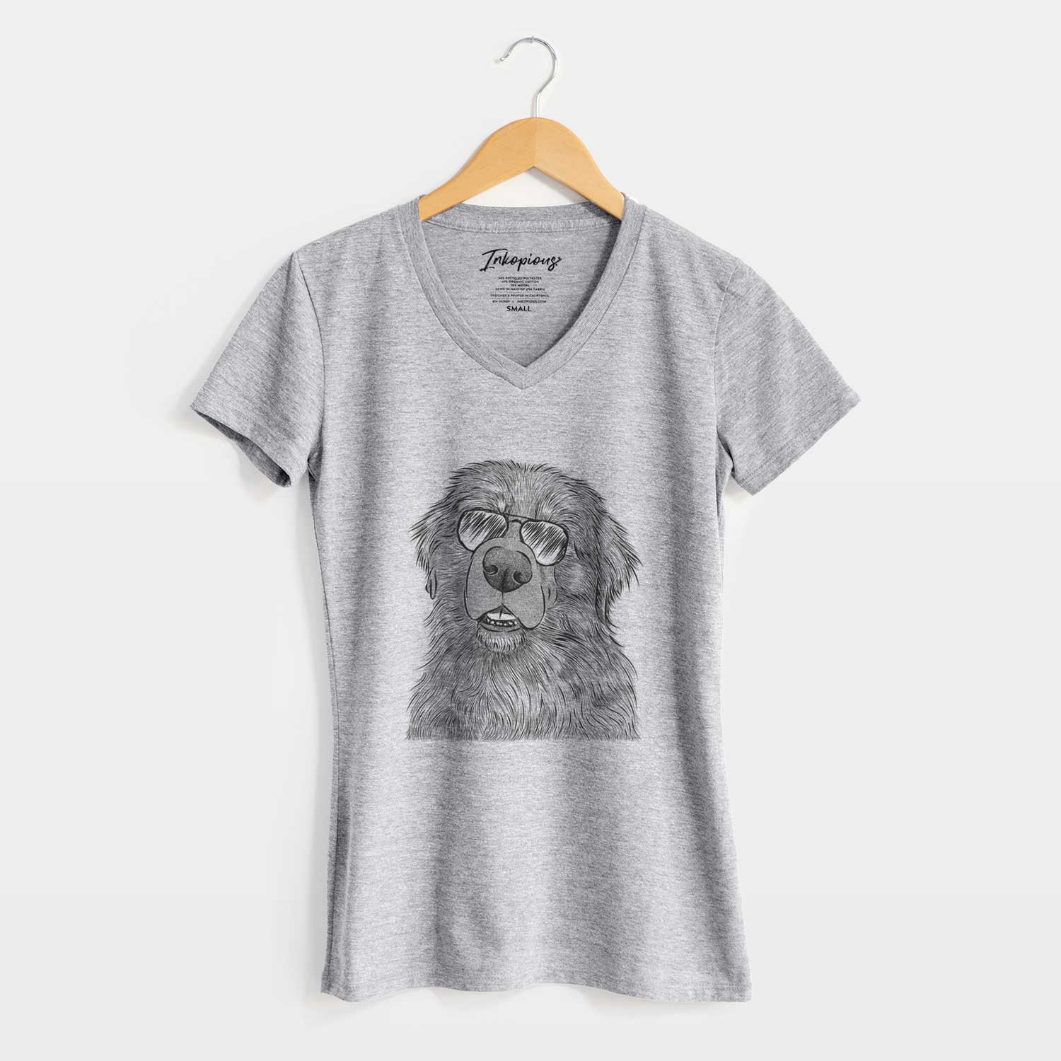 Aviator Ralph the Leonberger - Women's V-neck Shirt