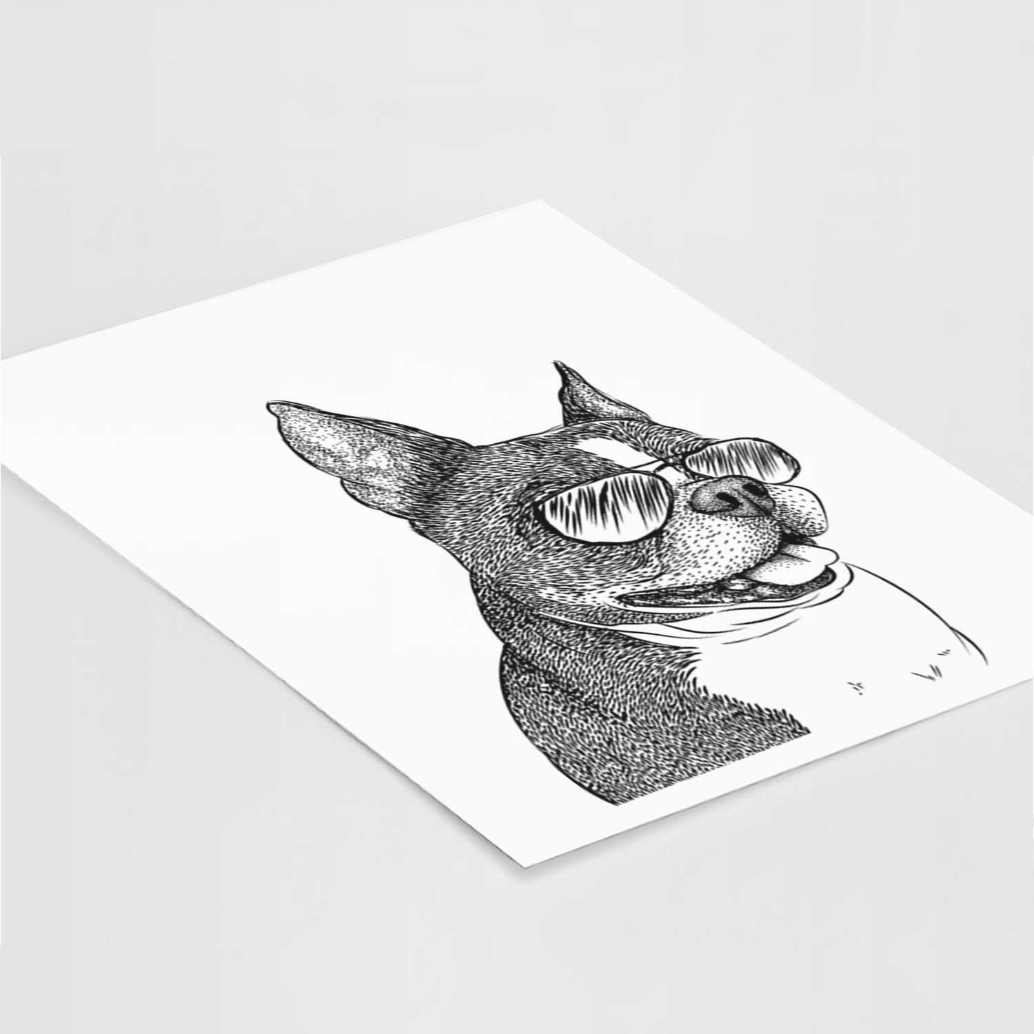 Ralphie the Boston Terrier Art Print