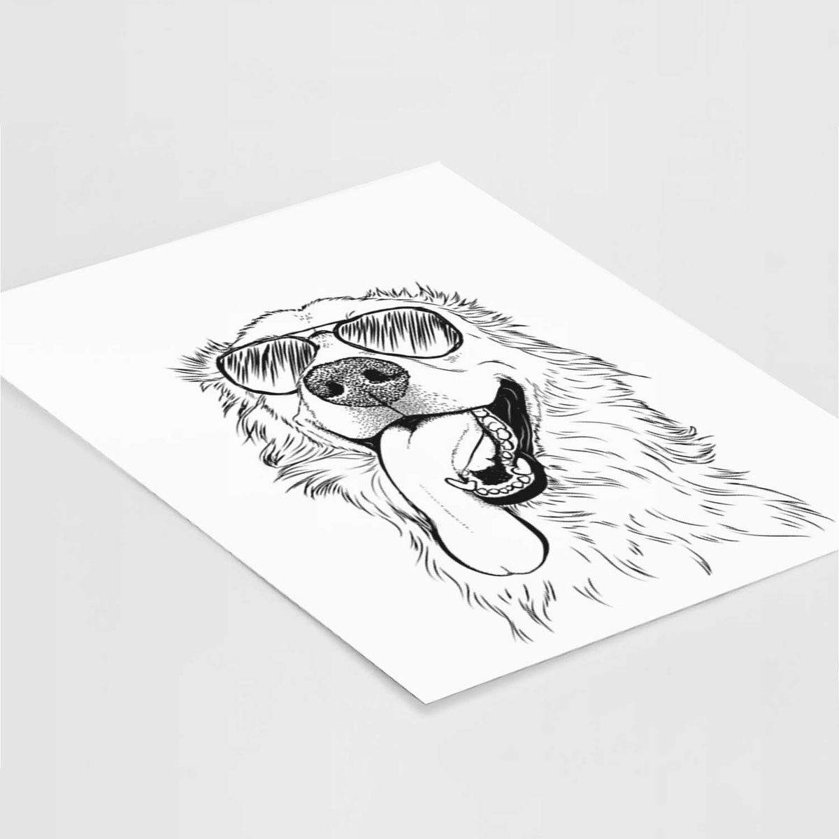 Ranger the Great Pyrenees Golden Retriever Mix Art Print