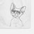 Ripley the Devon Rex Cat Decorative Hand Towel