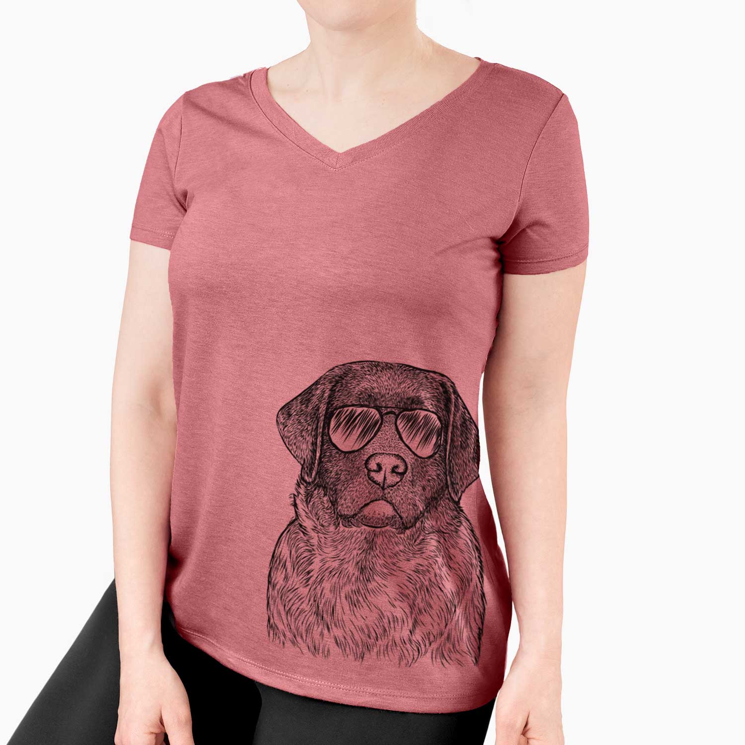 Aviator River the English Labrador Retriever - Women's V-neck Shirt