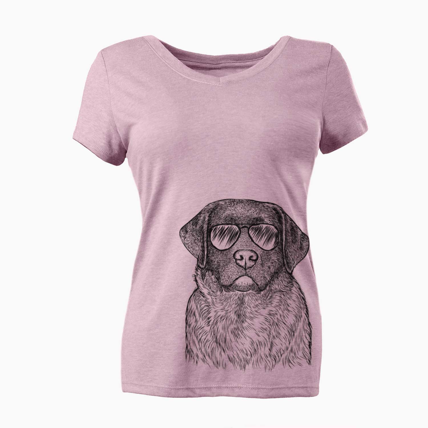 Aviator River the English Labrador Retriever - Women's V-neck Shirt