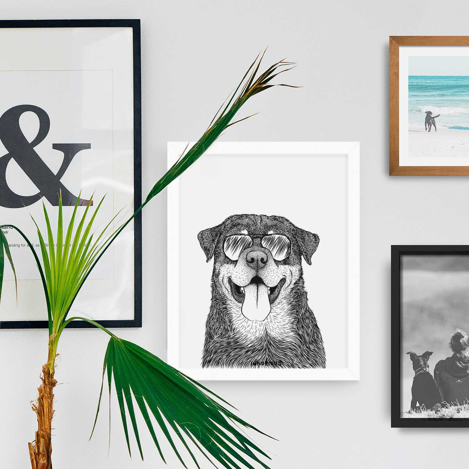 Romeo the Rottweiler Art Print