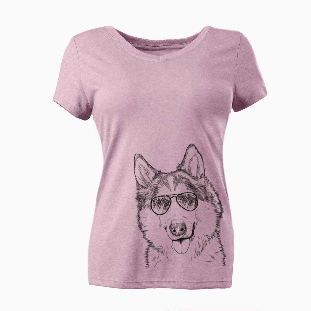 Aviator Roshi the Mixed Breed - Women's V-neck Shirt