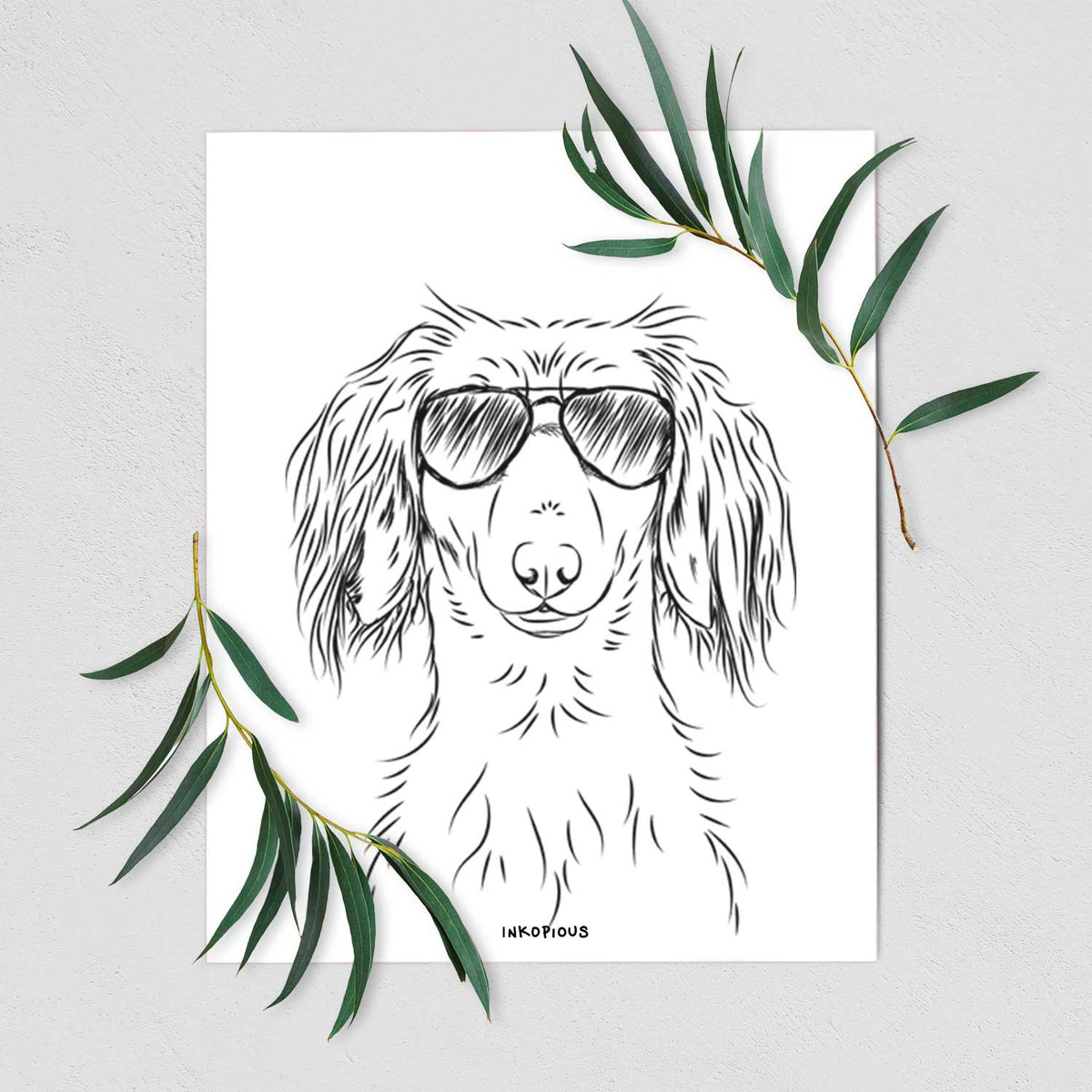 Roux the Long Haired Dachshund Art Print