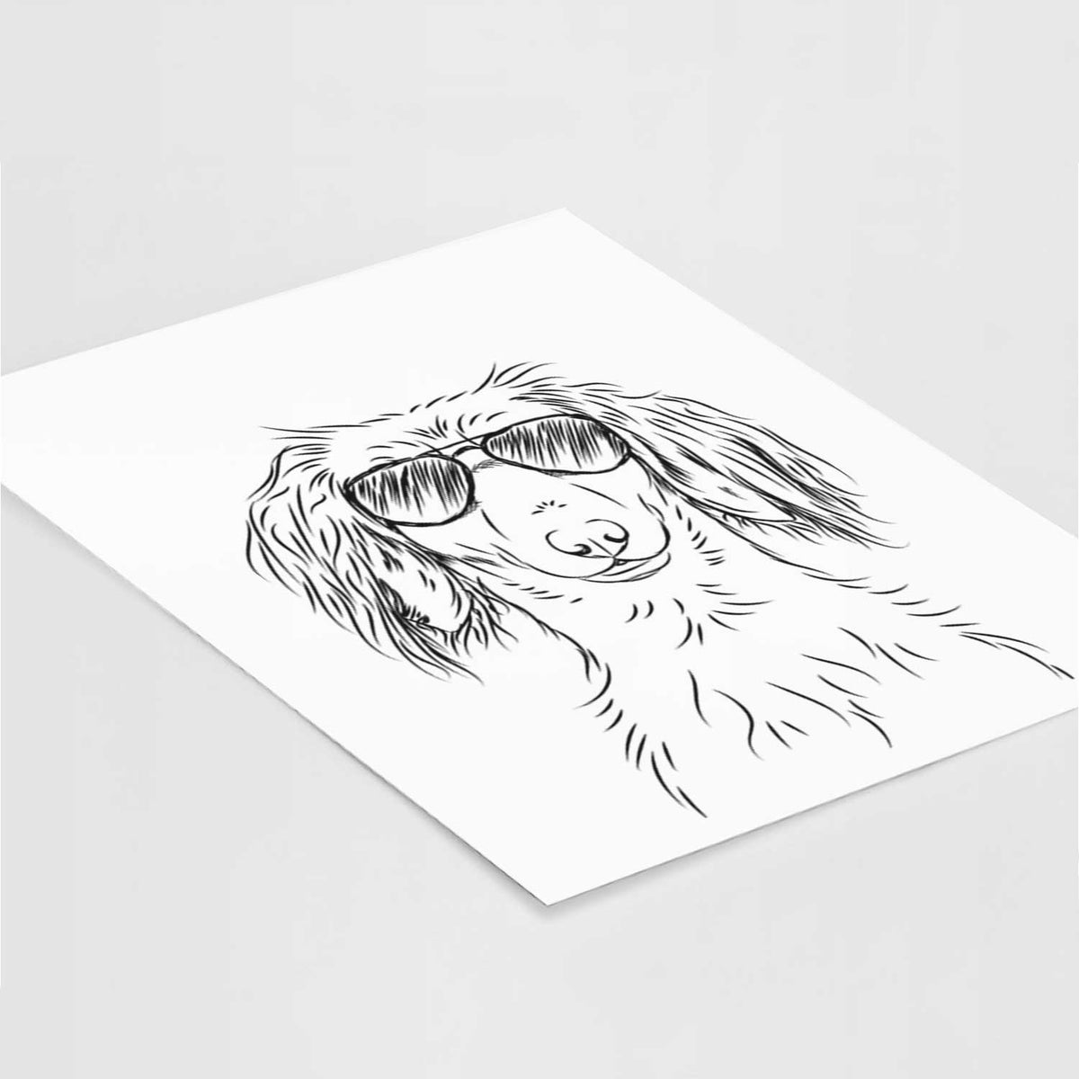 Roux the Long Haired Dachshund Art Print
