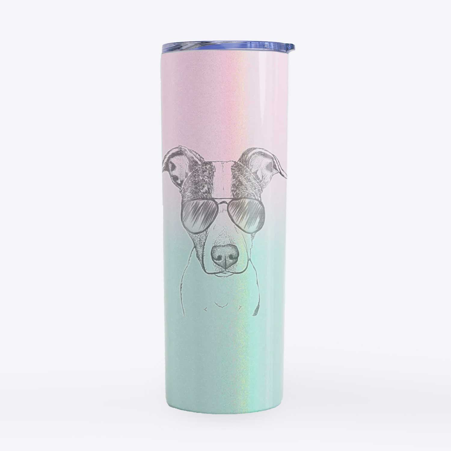 Roxy the Bo Jack - 20oz Skinny Tumbler