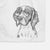 Roxy the Welsh Springer Spaniel Decorative Hand Towel