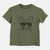 Aviator Sammy the Spinx Cat - Kids/Youth/Toddler Shirt