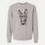 Aviator Samule the Donkey - Unisex Pigment Dyed Crew Sweatshirt