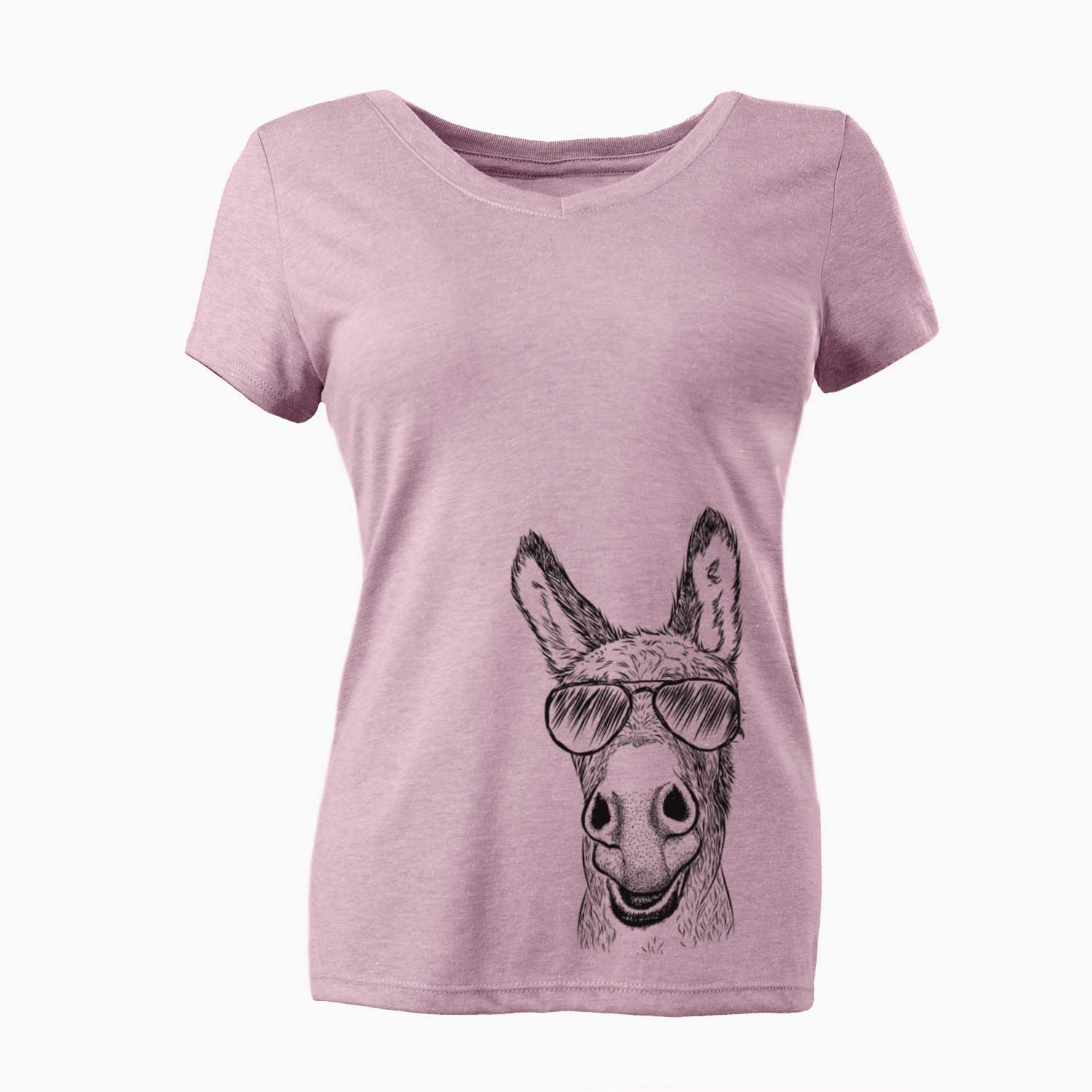 Aviator Samule the Donkey - Women's V-neck Shirt