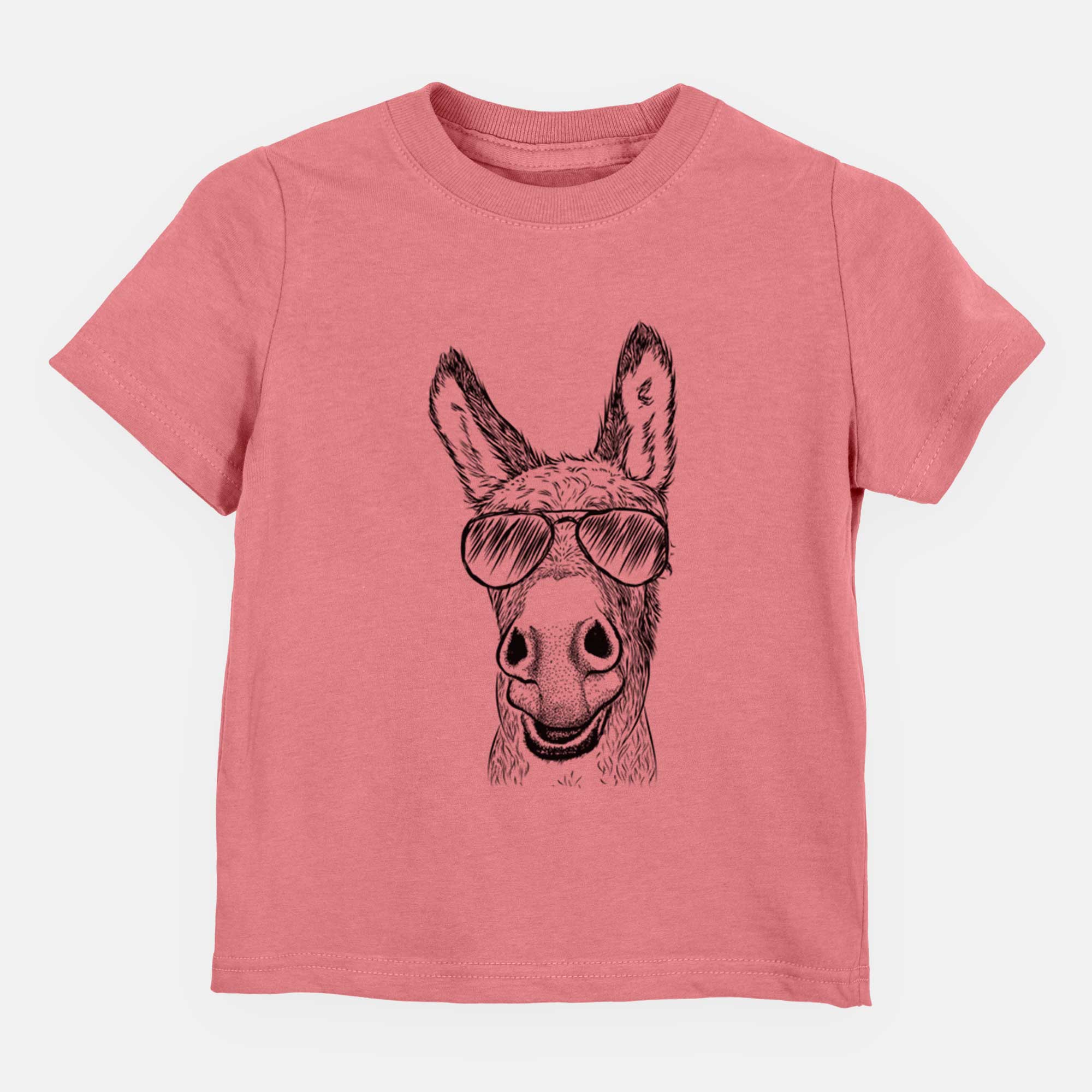 Aviator Samule the Donkey - Kids/Youth/Toddler Shirt