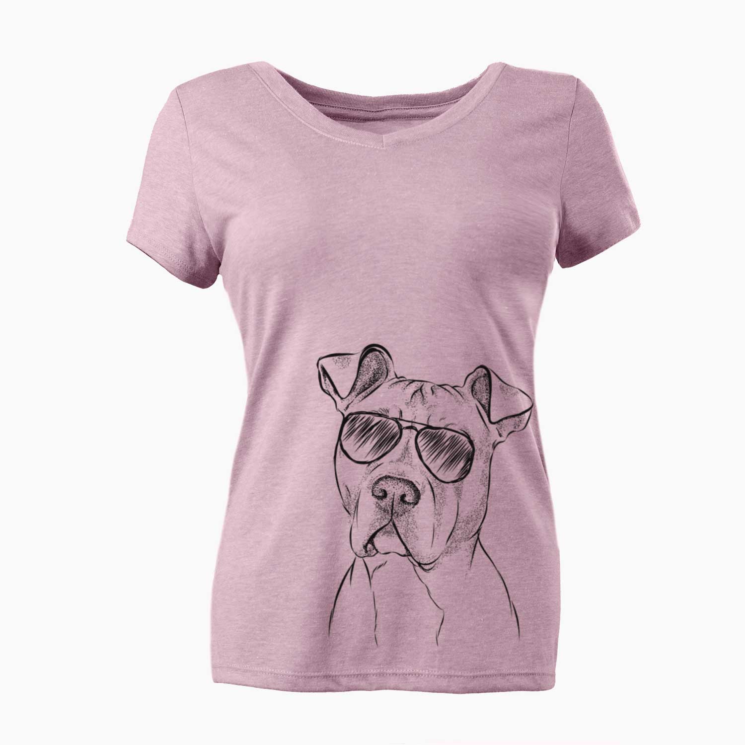 Aviator Scraps the American Staffordshire Mix - Women's V-neck Shirt