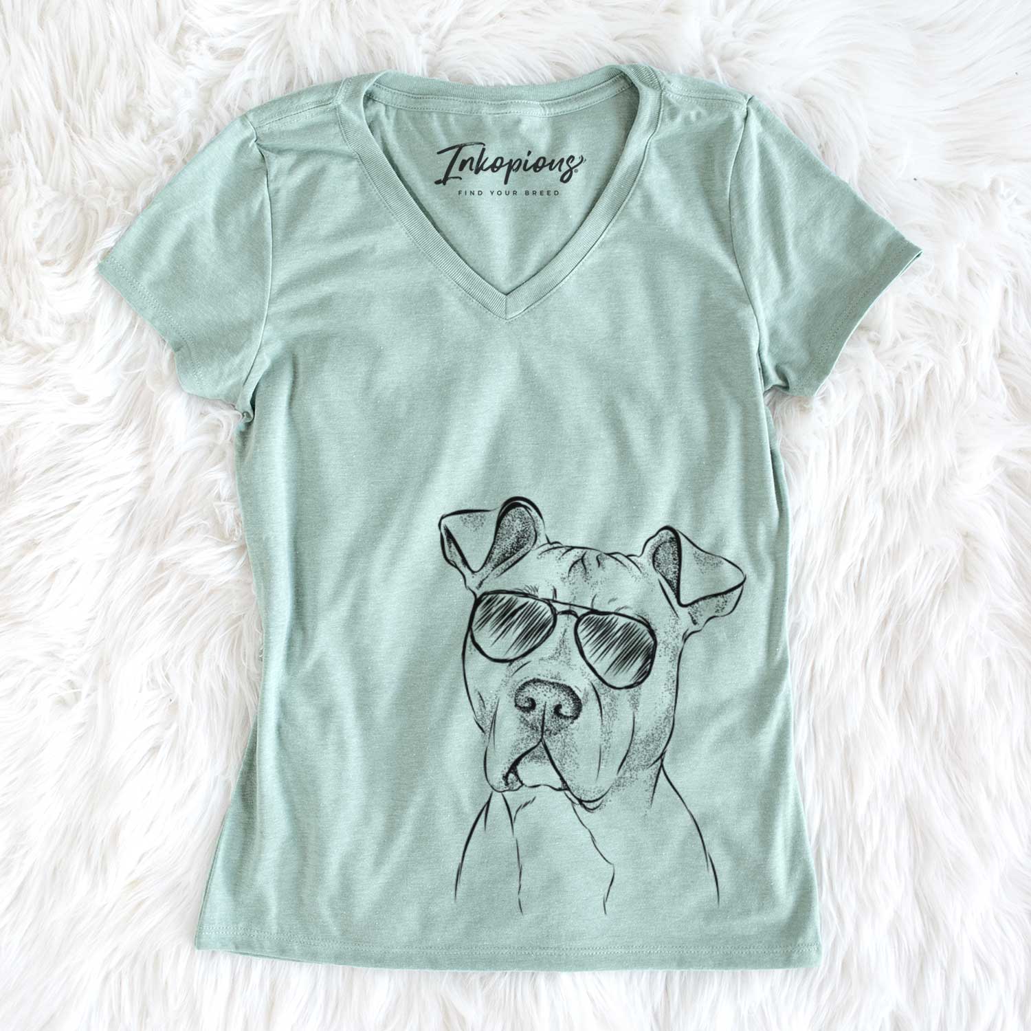 Aviator Scraps the American Staffordshire Mix - Women's V-neck Shirt