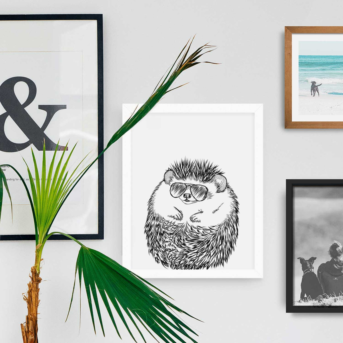 Sid the Hedgehog Art Print