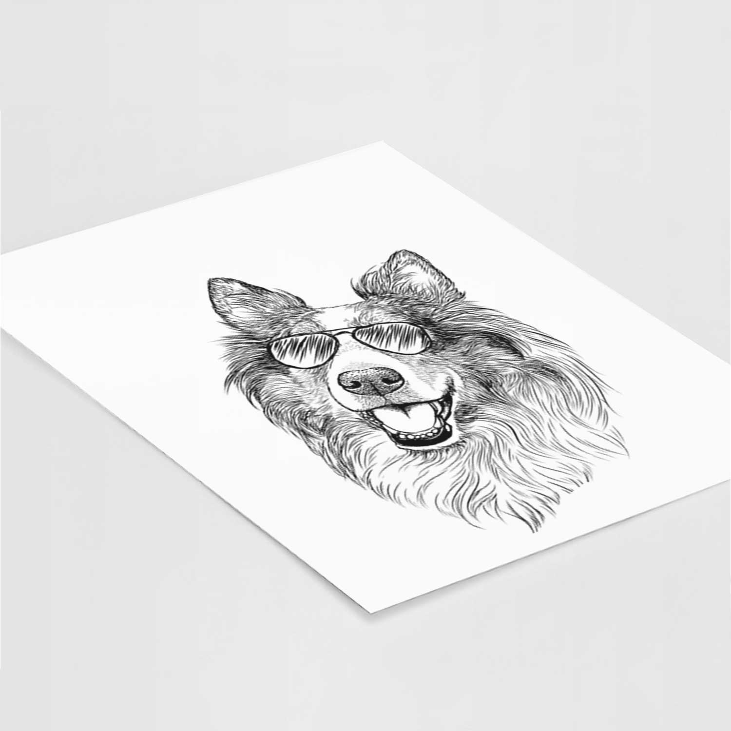 Skylar the Shetland Sheepdog Art Print