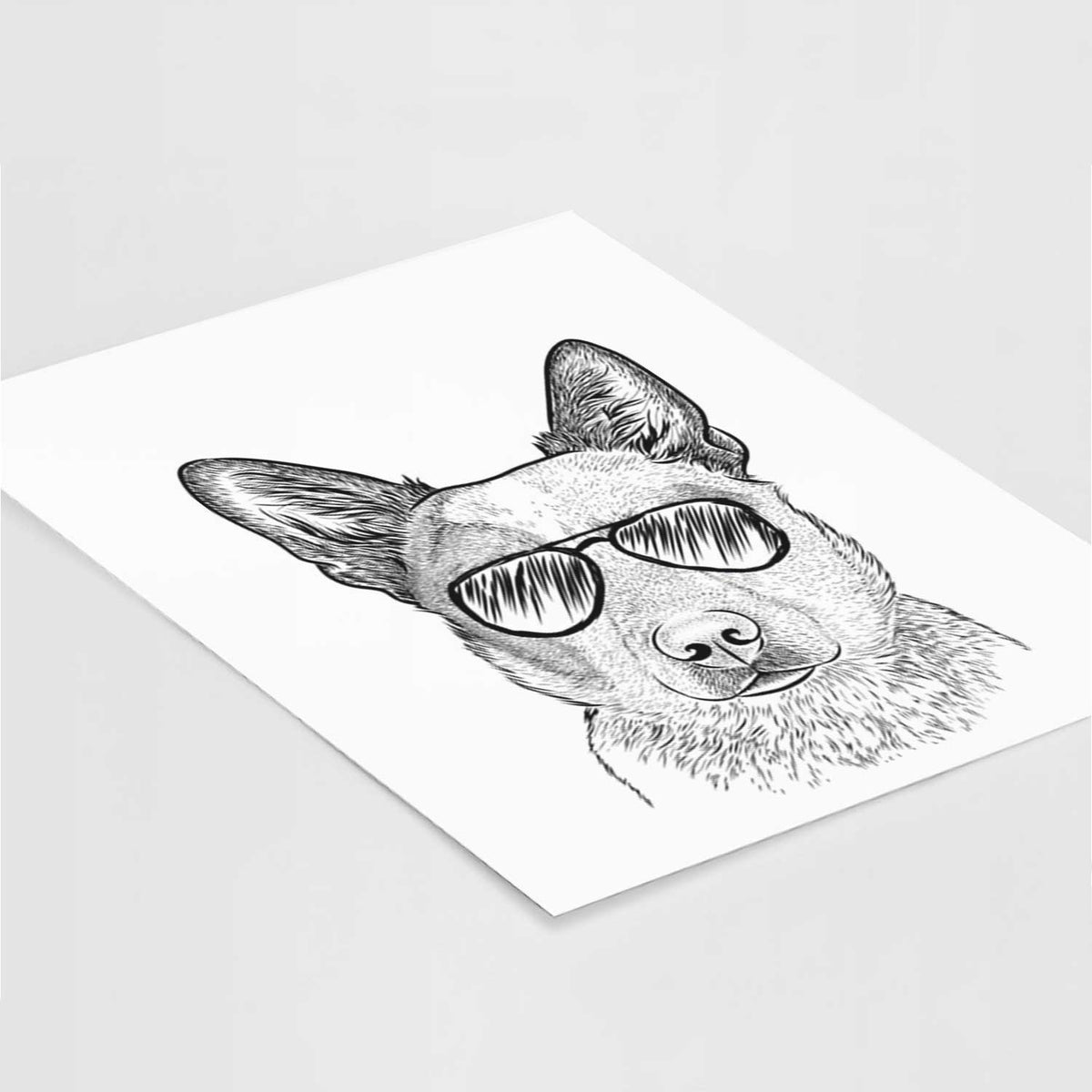 Snap the Australian Cattle Dog Art Print