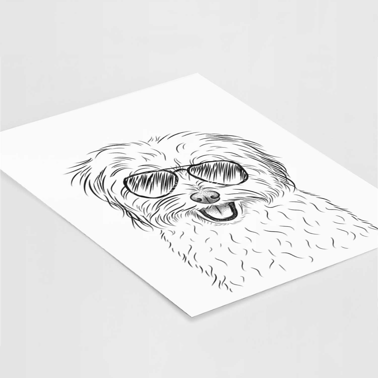 Sophie Quinn the Havanese Art Print
