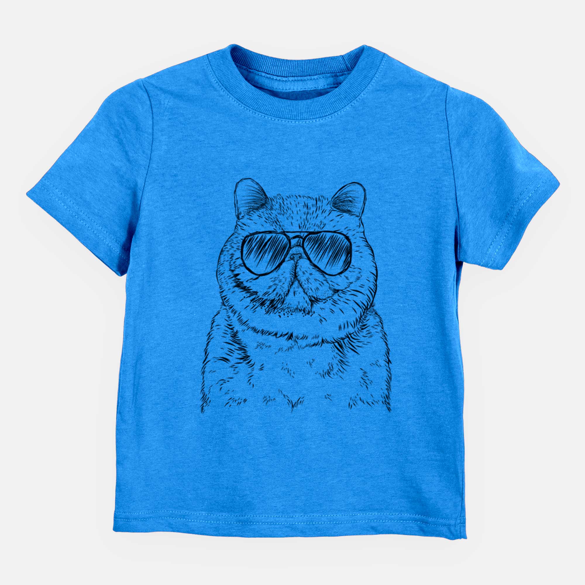 Aviator Squish the Exotic Shorthair Cat - Kids/Youth/Toddler Shirt