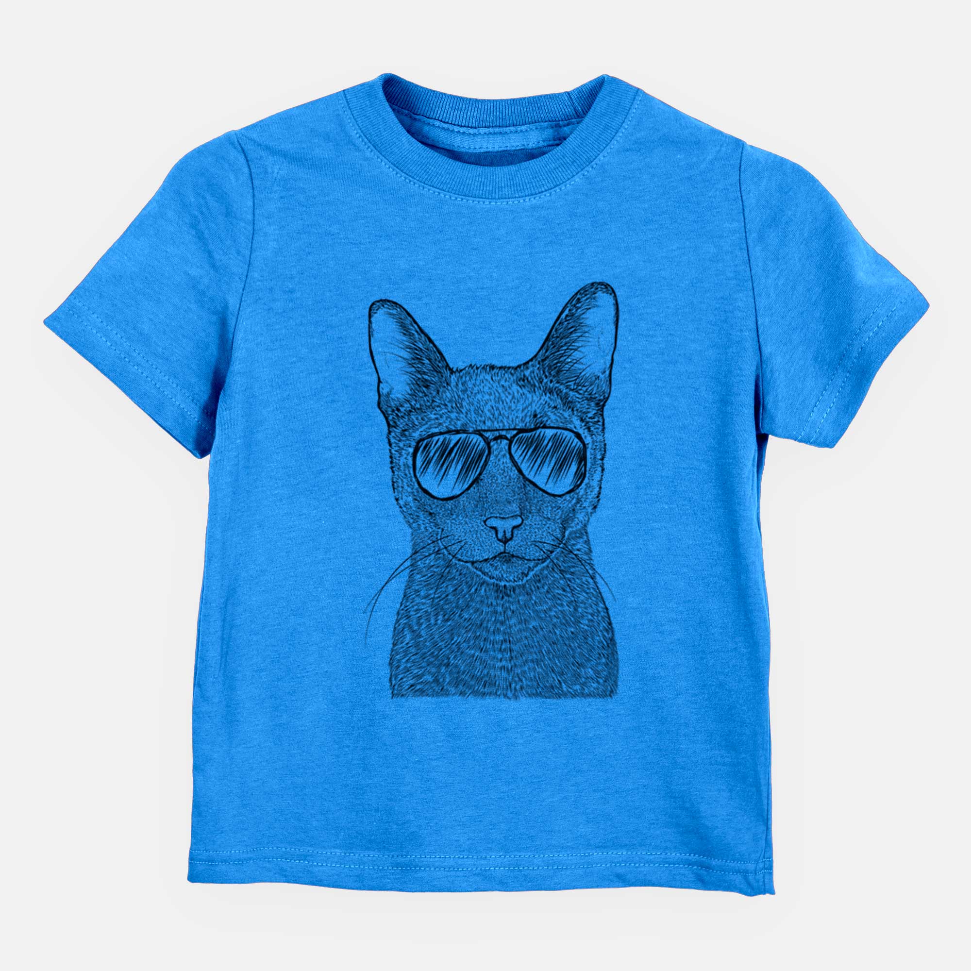 Aviator Stanley the Russian Blue Cat - Kids/Youth/Toddler Shirt