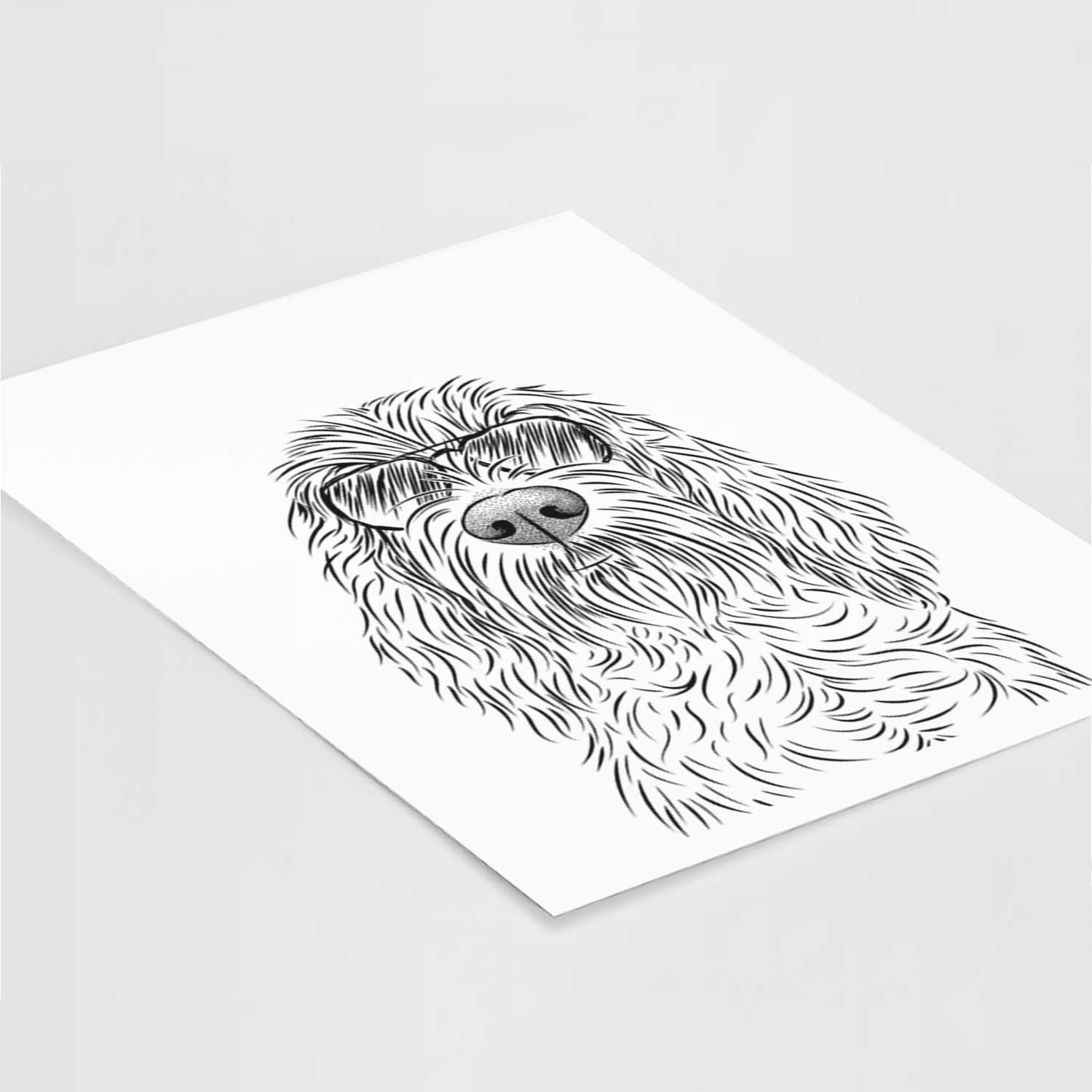 Stefano the Spinone Italiano Art Print