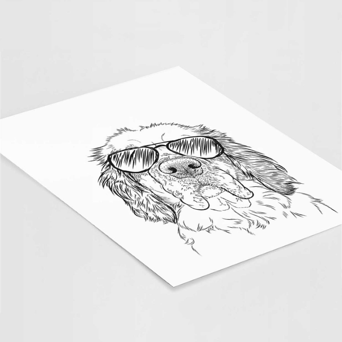 Sully the Clumber Spaniel Art Print